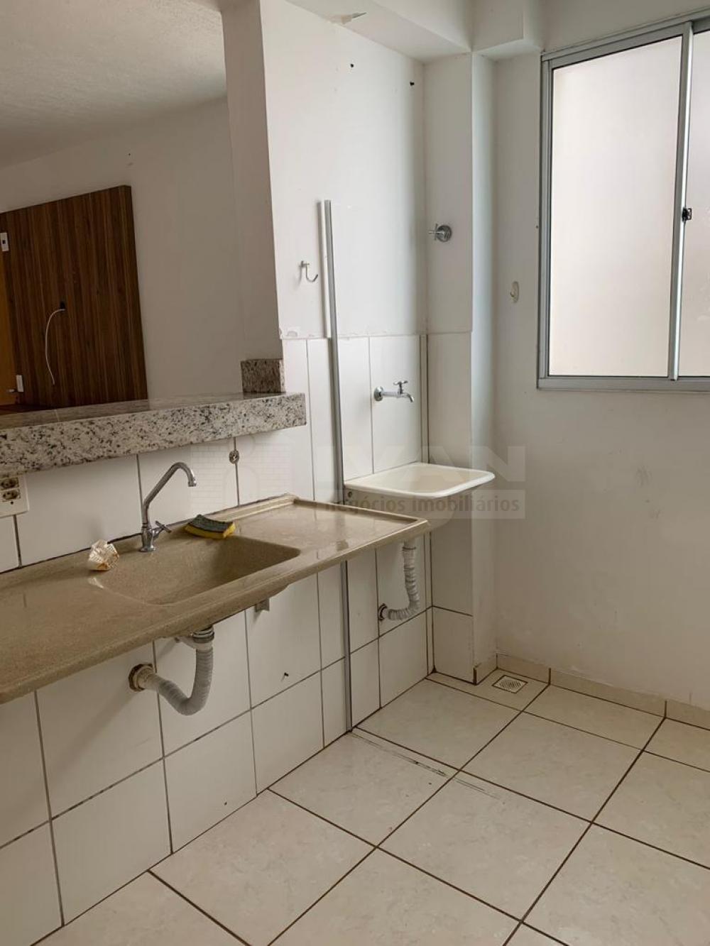 Comprar Apartamento / Padrão em Uberlândia R$ 119.990,00 - Foto 5