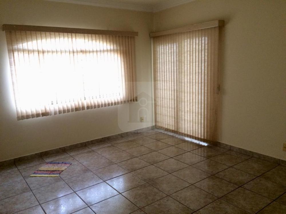 Comprar Apartamento / Padrão em Uberlândia R$ 350.000,00 - Foto 1