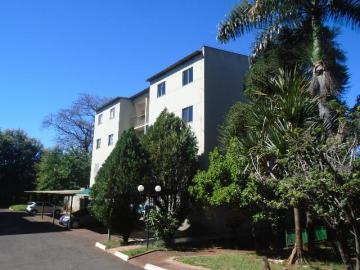 Apartamento para locação  no bairro Jardim Patricia