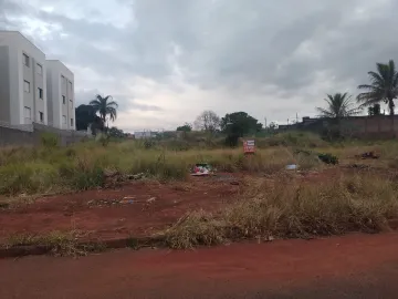 Terrenos à venda no bairro Aclimação.