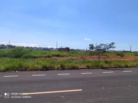 Terreno à venda no bairro Verde Umuarama.