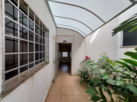 Apartamento para Locação e venda no Bairro Brasil