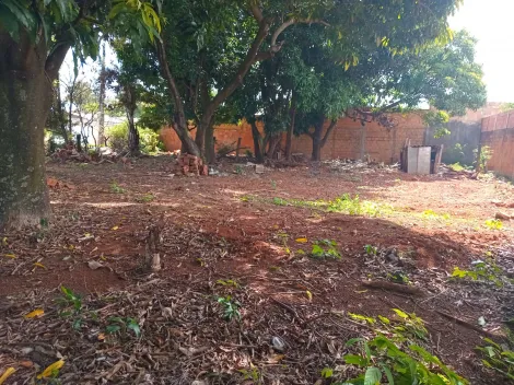 Terreno para venda no bairro Aclimação.